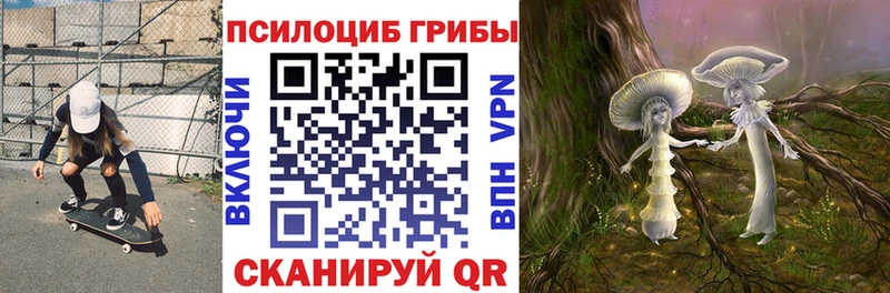 Галлюциногенные грибы мицелий  Нерчинск 